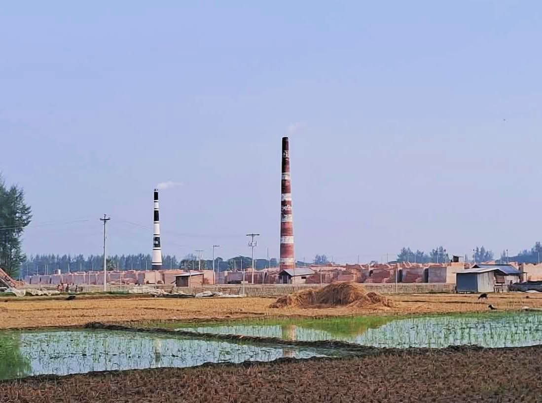 রামগতি-কমলনগরের সকল অবৈধ ইটভাটা উচ্ছেদে হাইকোর্টের রুল